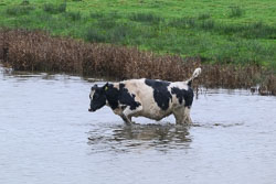 20251114South-Devon0258.jpg 20251114South-Devon0258.jpg