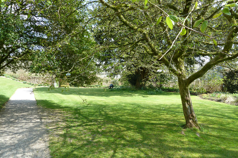 20120402Cotehele0001.jpg