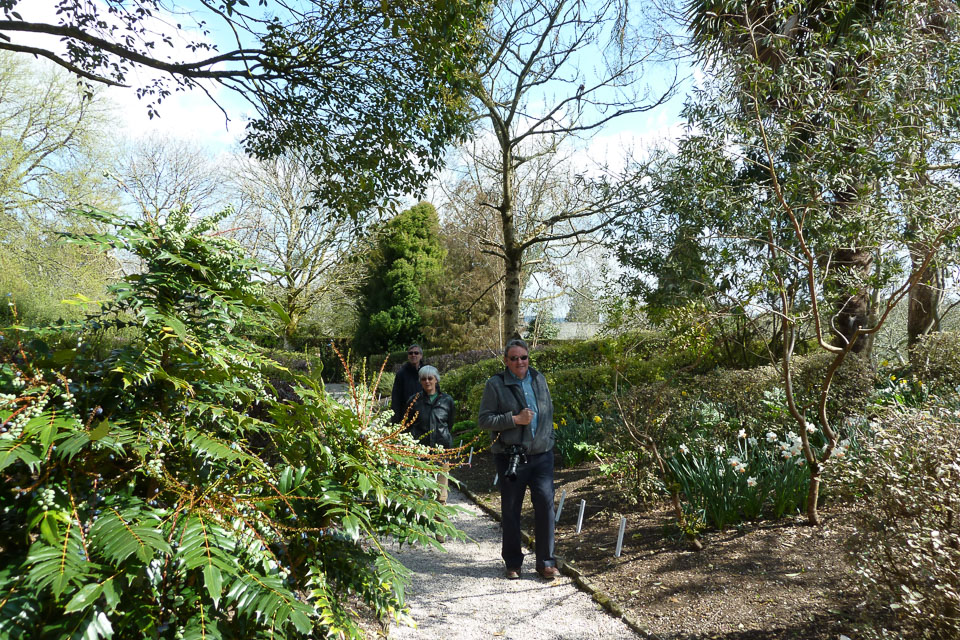 20120402Cotehele0002.jpg