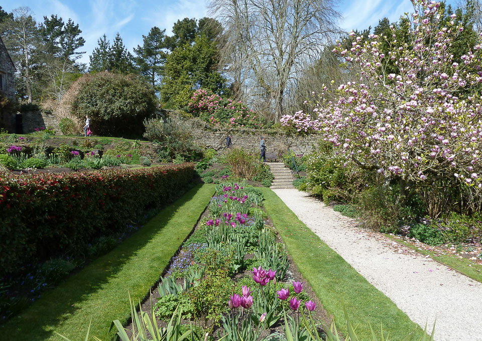 20120402Cotehele0009.jpg