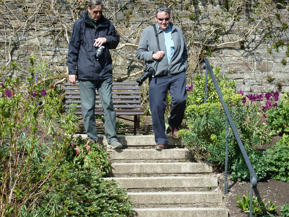 20120402Cotehele0010.jpg