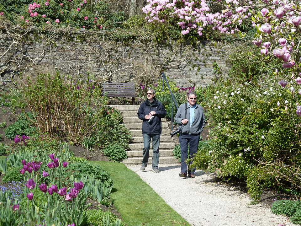 20120402Cotehele0011.jpg