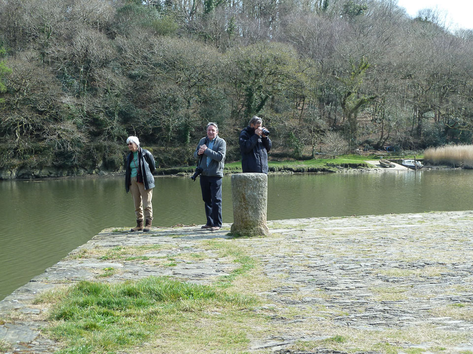 20120402Cotehele0012.jpg