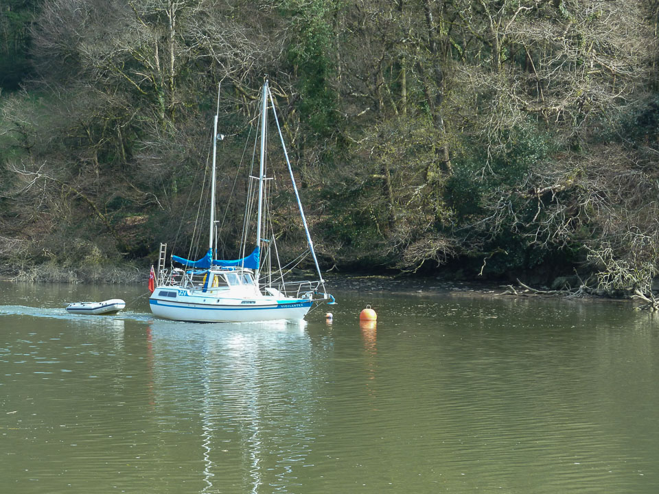 20120402Cotehele0014.jpg