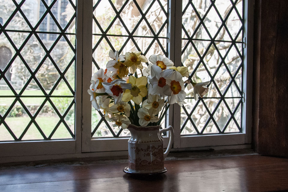 20120402Cotehele0016.jpg