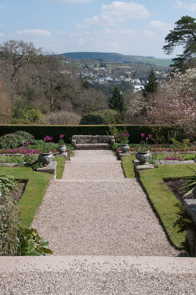 20120402Cotehele0019.jpg