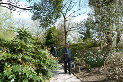 20120402Cotehele0002.jpg