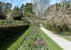 20120402Cotehele0009.jpg