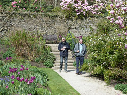 20120402Cotehele0011.jpg