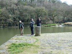 20120402Cotehele0012.jpg