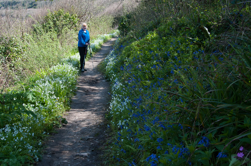 20120502CarbisBay0027.jpg