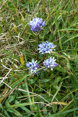 Carbis Bay, May 2012 Carbis Bay, May 2012