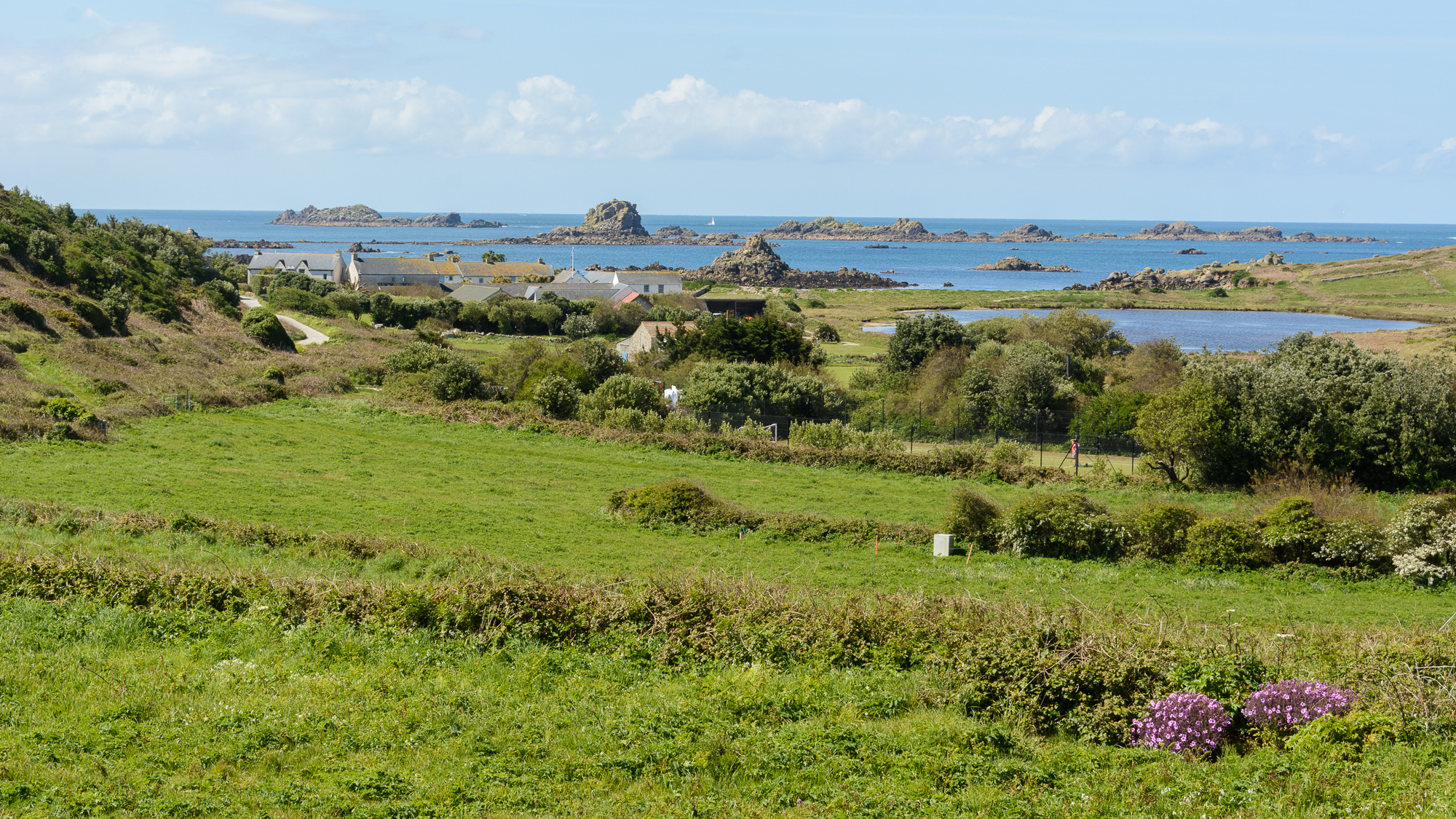 20190505Scilly0023.jpg