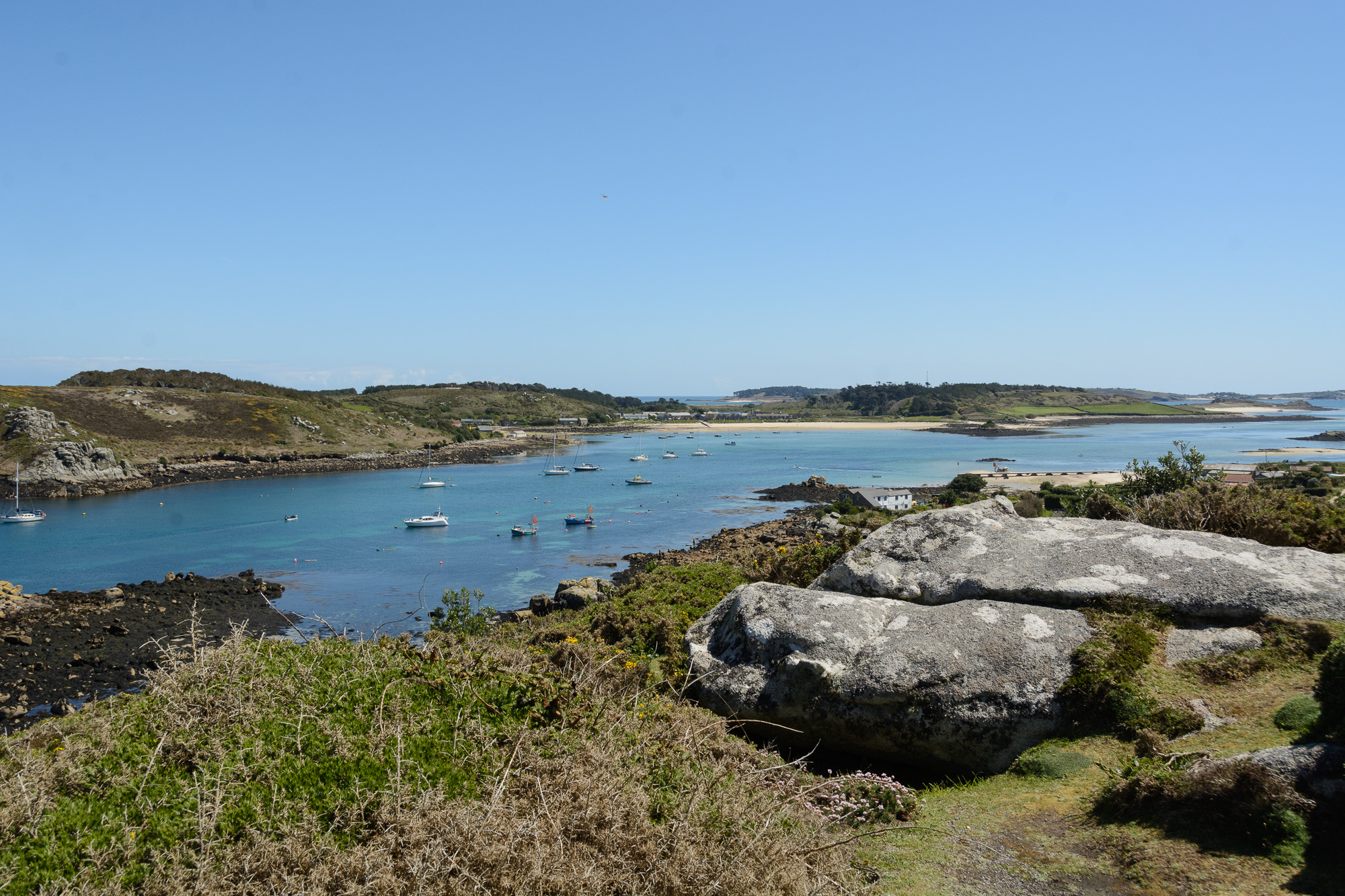 20190505Scilly0033.jpg