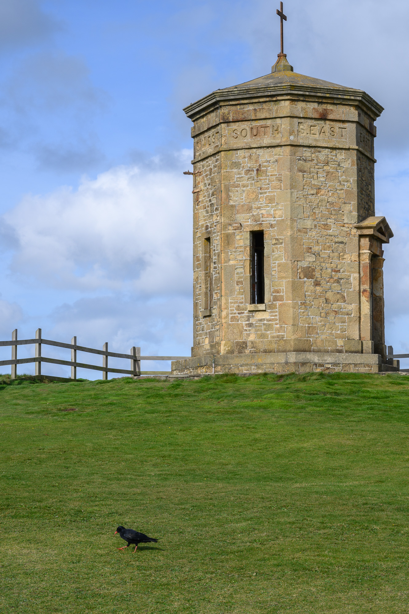 20211012Chough0012.jpg