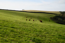 20211008HartlandQuay0016.jpg