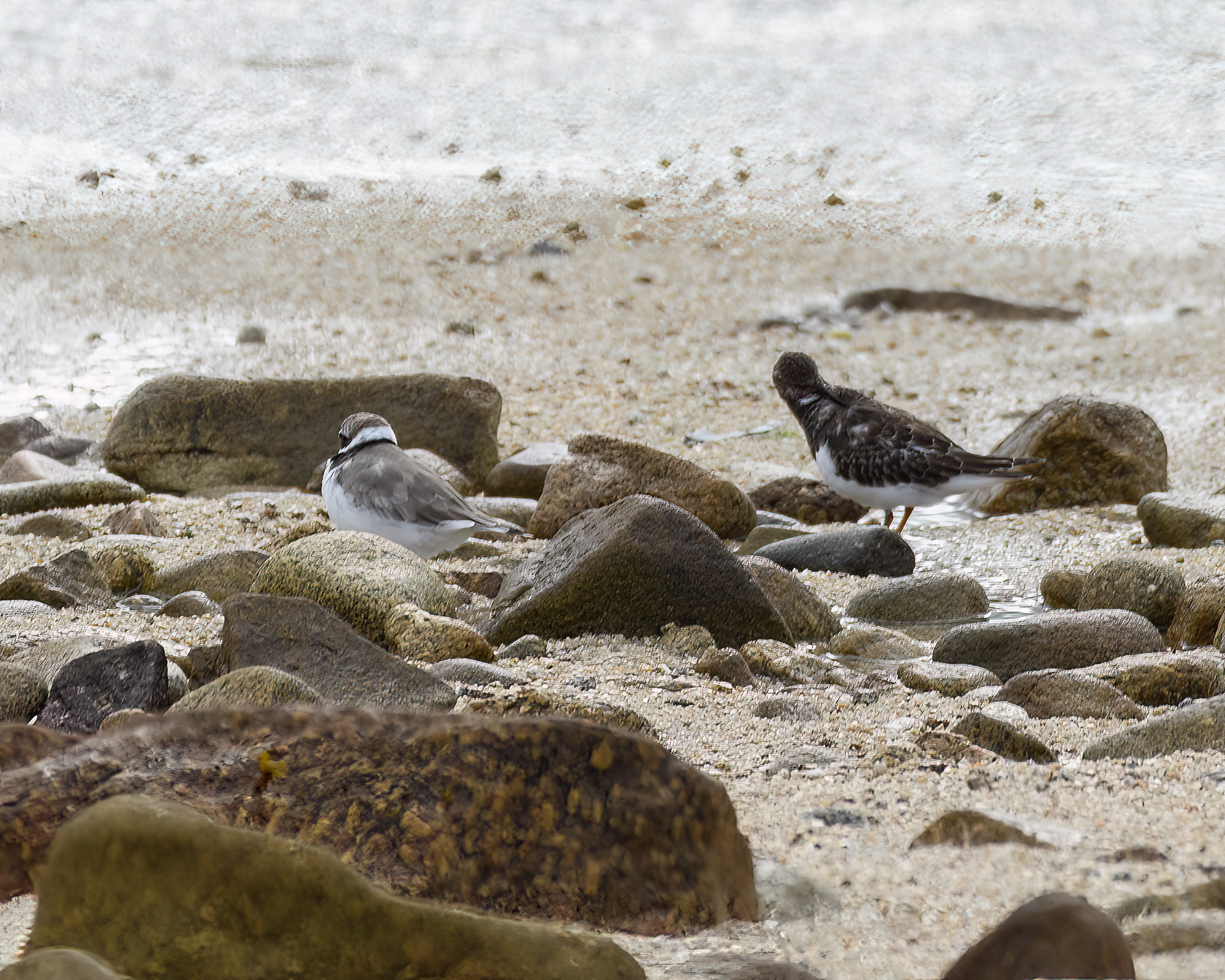 20220929202209-Scilly0102-Edit.jpg