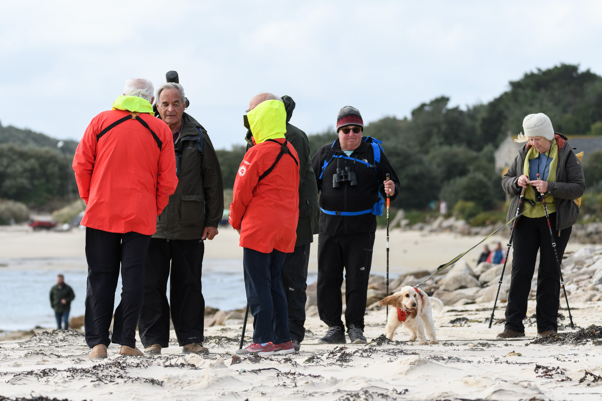 20220929202209-Scilly0115.jpg