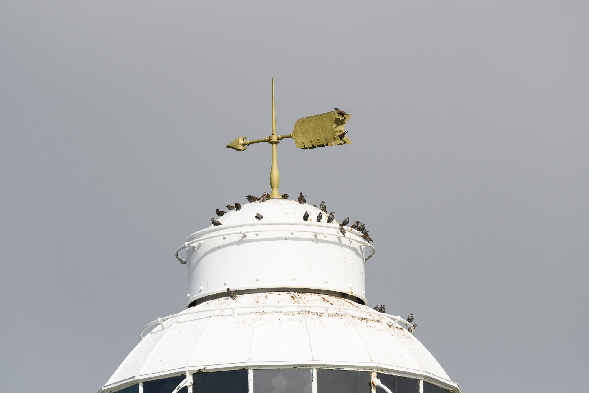 20220929202209-Scilly0134.jpg