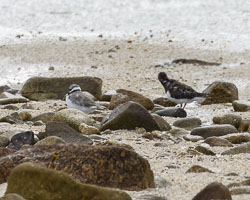 20220929202209-Scilly0102-Edit.jpg