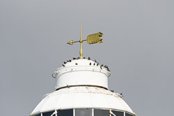 20220929202209-Scilly0134.jpg 20220929202209-Scilly0134.jpg