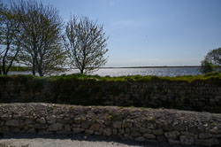 20260429BodminMoor0004.jpg