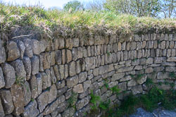 20260429BodminMoor0007.jpg