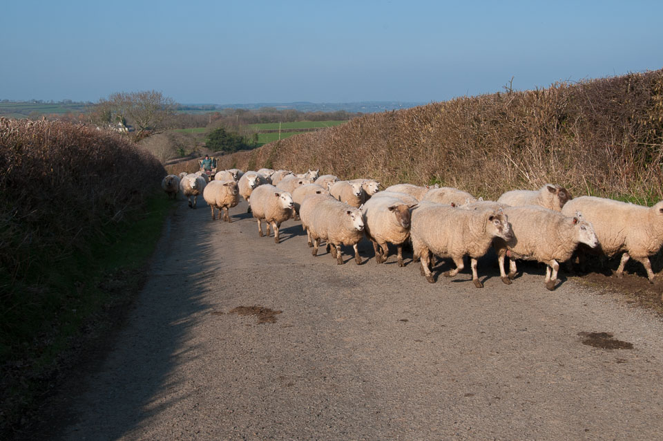 20110304Roadford0004.jpg