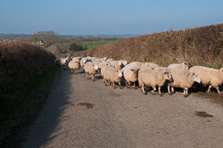 20110304Roadford0004.jpg