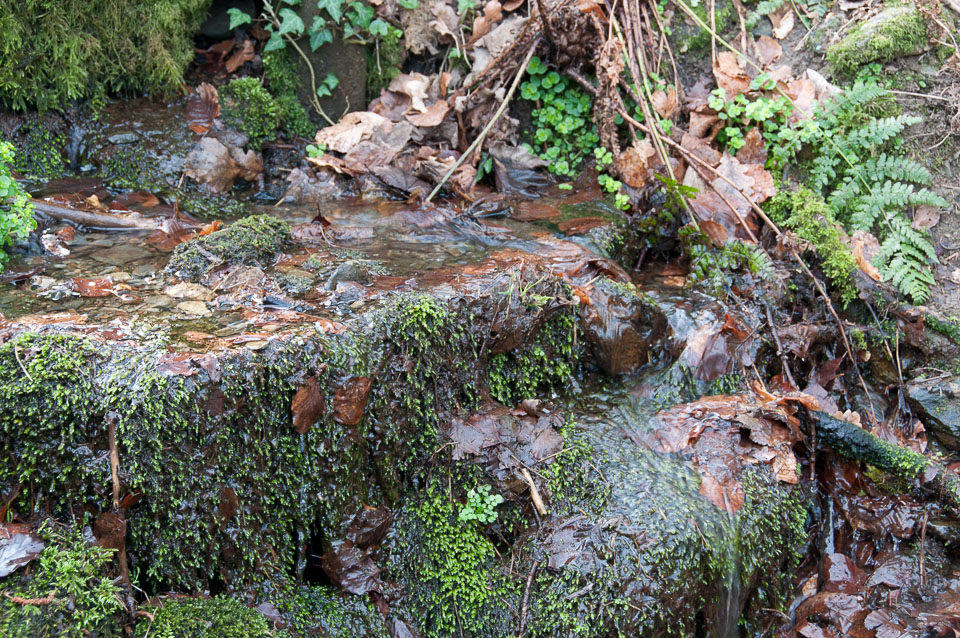 20110327LydfordGorge0001.jpg