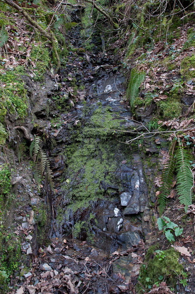 20110327LydfordGorge0021.jpg