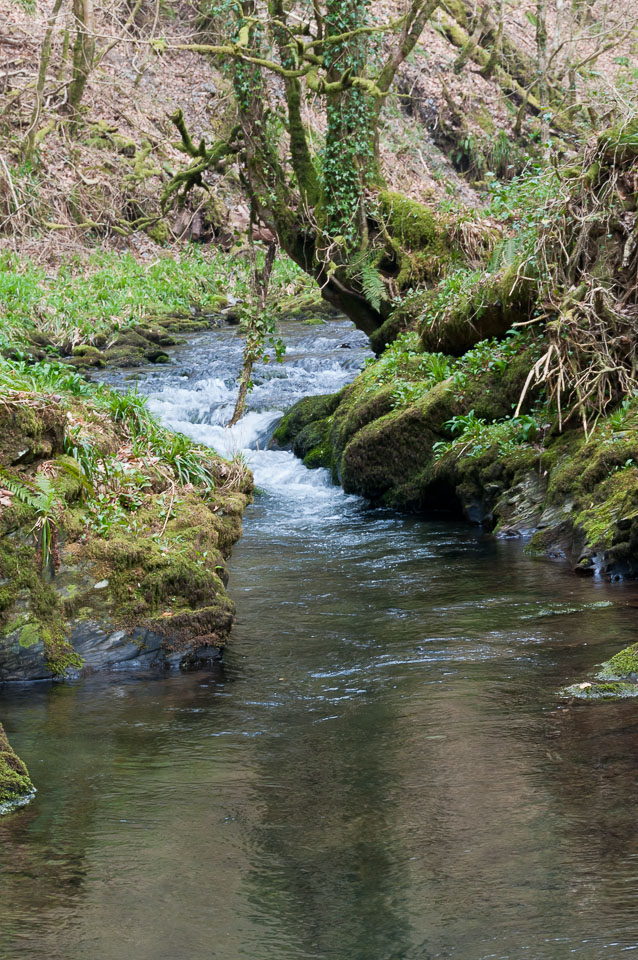 20110327LydfordGorge0035.jpg