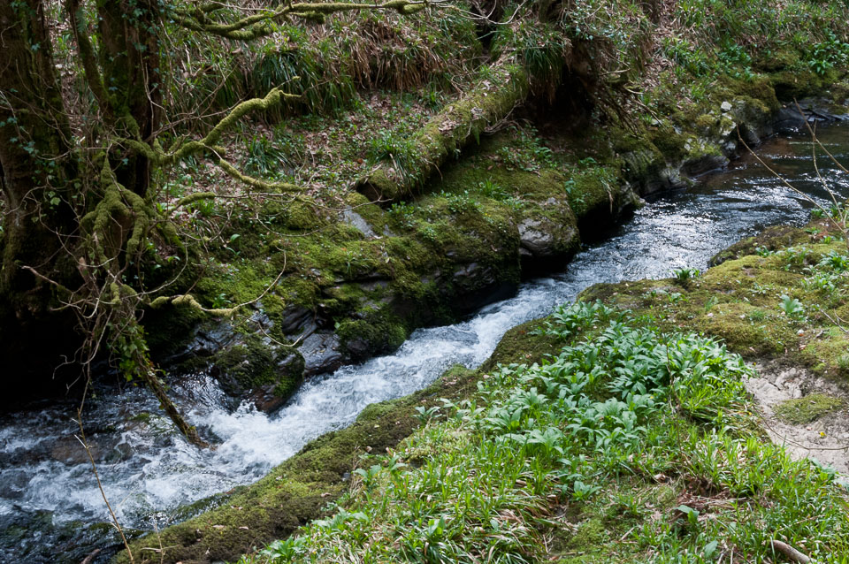 20110327LydfordGorge0038.jpg