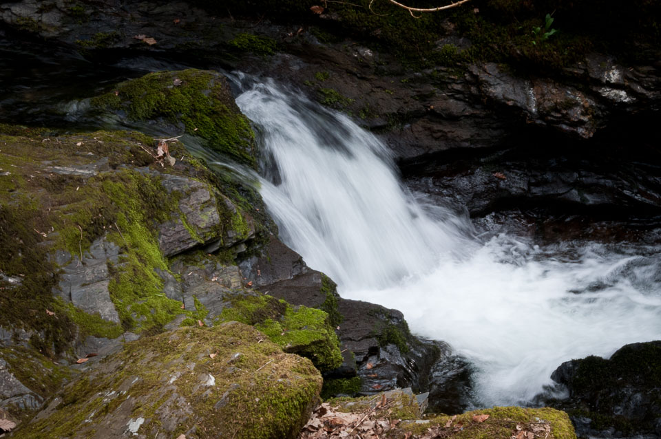 20110327LydfordGorge0039.jpg