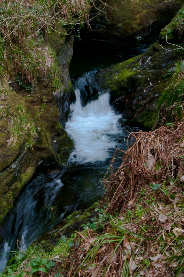 20110327LydfordGorge0045.jpg