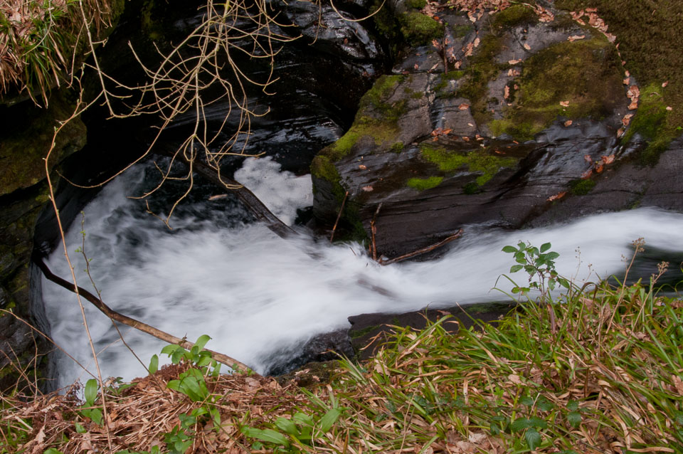 20110327LydfordGorge0048.jpg