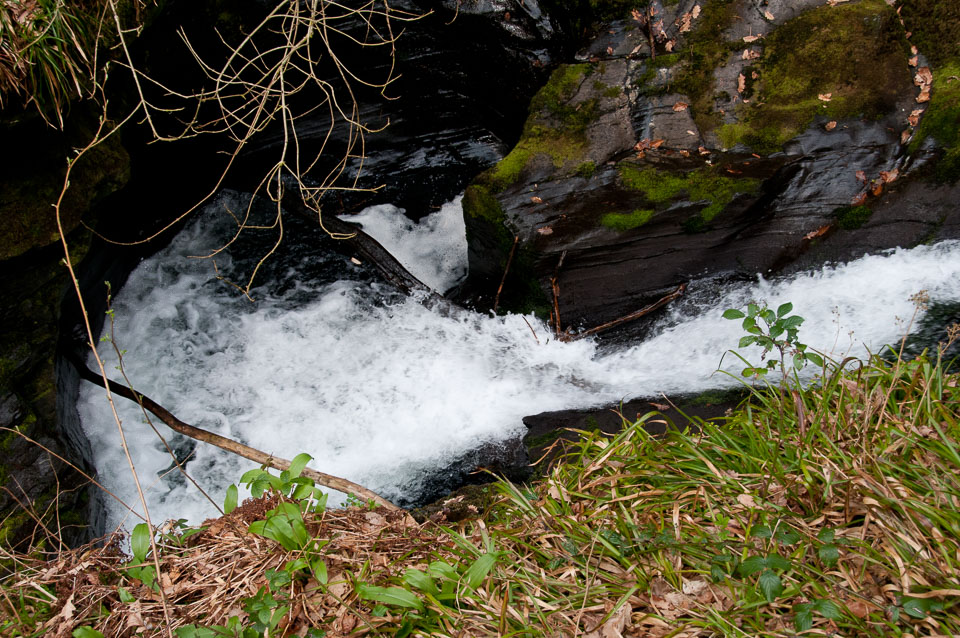 20110327LydfordGorge0049.jpg