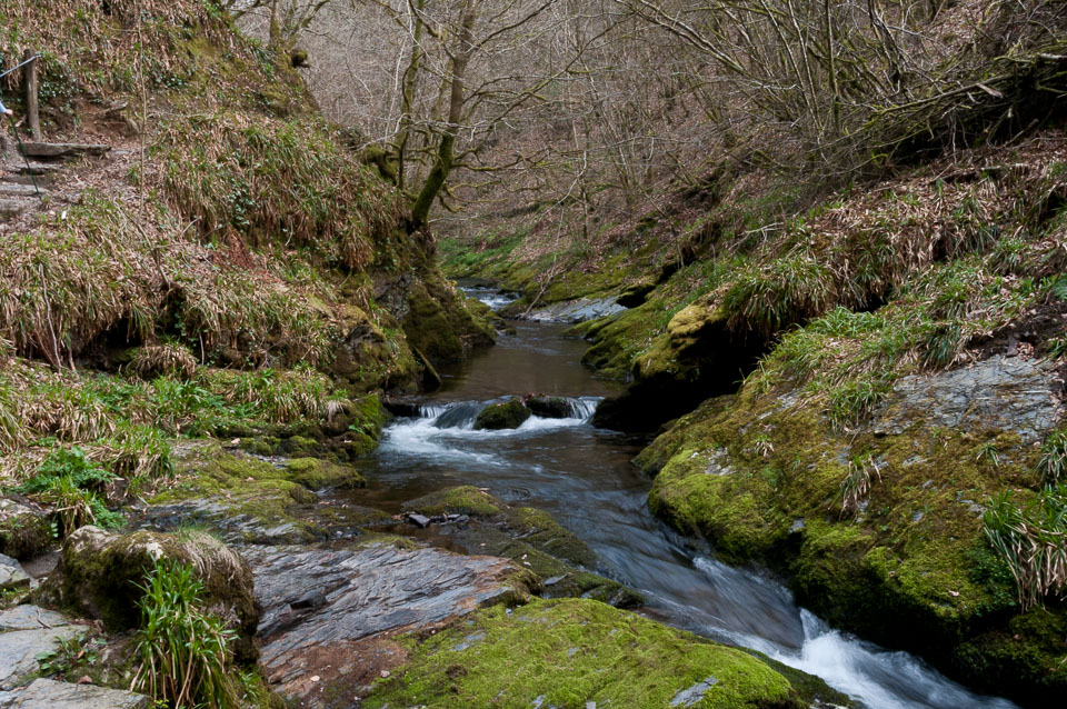 20110327LydfordGorge0051.jpg