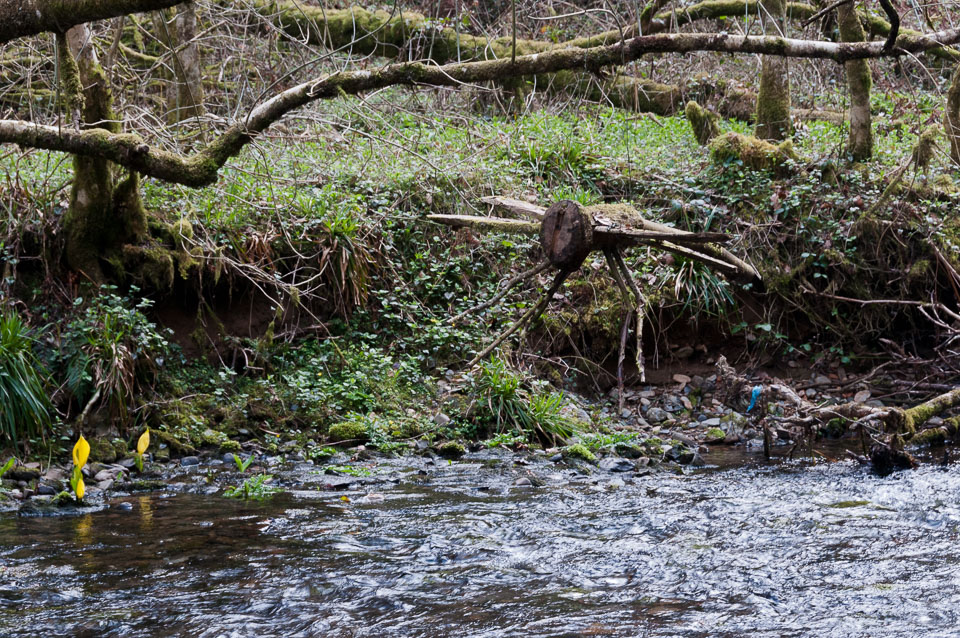 20110327LydfordGorge0053.jpg