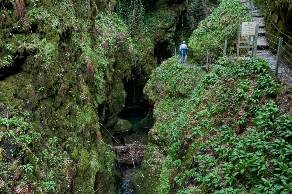 20110327LydfordGorge0056.jpg