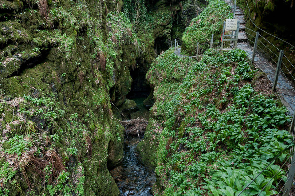 20110327LydfordGorge0057.jpg