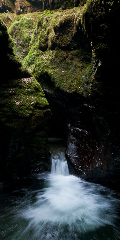 20110327LydfordGorge0059.jpg