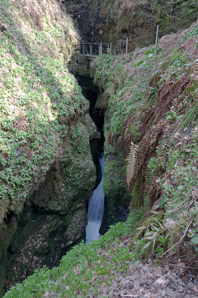 20110327LydfordGorge0060.jpg