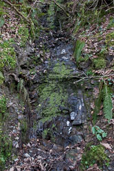 20110327LydfordGorge0021.jpg