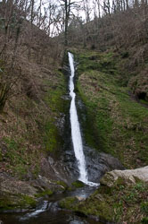 20110327LydfordGorge0030.jpg