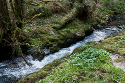 20110327LydfordGorge0038.jpg