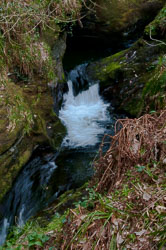 20110327LydfordGorge0045.jpg