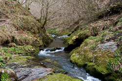 20110327LydfordGorge0050.jpg