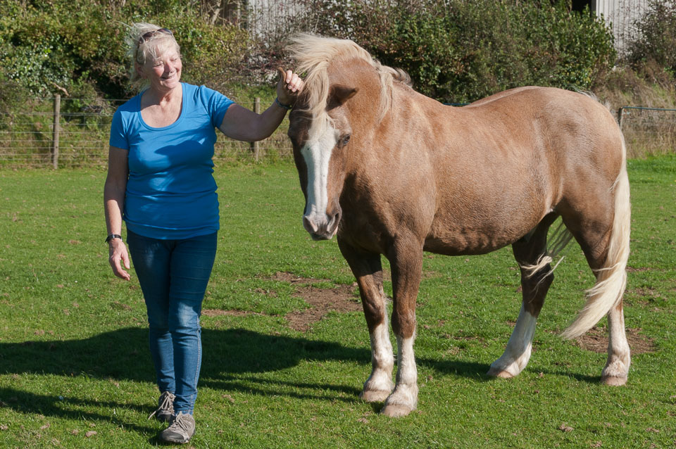 20110928Ponies0013.jpg