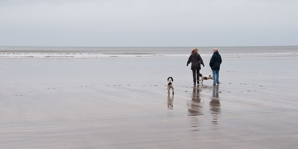 20111114WestwardHo-Spaniels0002.jpg